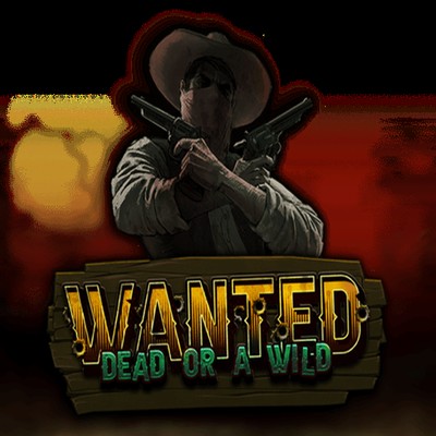 Wanted Dead Or A Wild